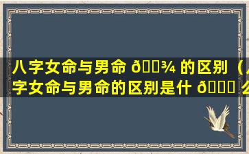 八字女命与男命 🌾 的区别（八字女命与男命的区别是什 🐟 么）